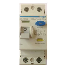 RCD 2POLE 100AMP 30ma